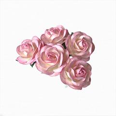 Two Tone Baby Pink/Ivory Mulberry Flowers Trellis Rose 4cm