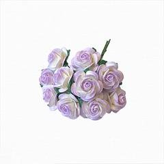 Two Tone Lilac/Ivory Open Roses