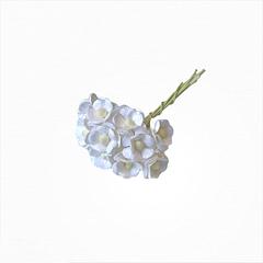 Ivory Sweetheart Blossom 1cm