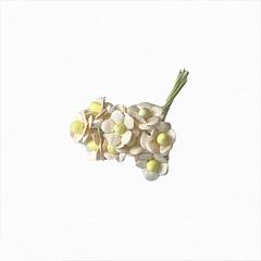Buttermilk Sweetheart Blossom 1cm