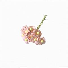 Petal Peach Sweetheart Blossom 1cm