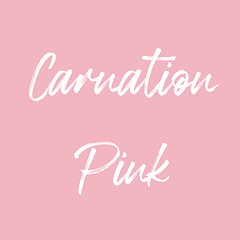 Oracal 631 - Carnation Pink 429