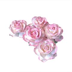 Tow Tone Baby Pink Wild Roses 4cm