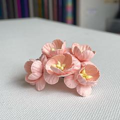 Pale Pink Mulberry Flowers Cherry Blossom 2.5cm
